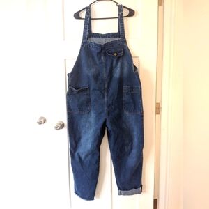 Oversized denim overalls